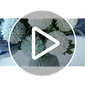 NAWEIDA Artificial Flowers with Ceramic Vase Faux Hydrangea Flower Arrangements Table Centerpieces for Home Garden Party W...