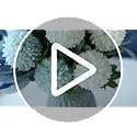 NAWEIDA Artificial Flowers with Ceramic Vase Faux Hydrangea Flower Arrangements Table Centerpieces for Home Garden Party W...