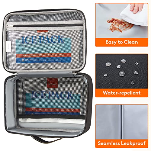 Lifewit Freezable Lunch Box, Insulated Reusable Lunch Bag with 2 Ice Packs, Mini Cooler Snack Bag for Bento Box for Salad,...