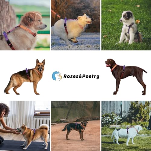 Roses&Poetry Small Dog Harness and Leash Set, No Pull Dog Harness Adjustable Reflective, Dog Halter Harnesses Comfort Padd...