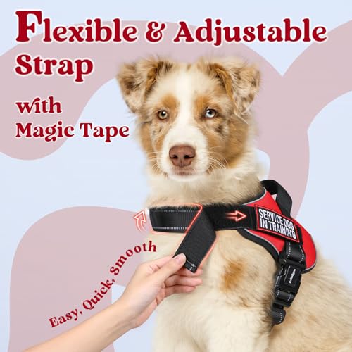 rabbitgoo Dog Harness Medium Sized Dog, Easy Wearing with One Buckle, No Choke No Pull Harness Buddy, Adjustable Reflectiv...