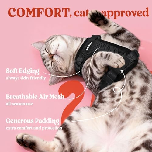 rabbitgoo Cat Harness and Leash for Walking, Escape Proof Soft Adjustable Vest Harnesses for Cats, Easy Control Breathable...