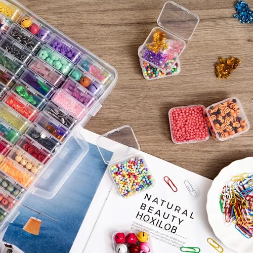Bead Organizer Box, 60 Pack Small Clear Storage Boxes with Labels, Large Travel Craft Case with Handle, Mini Plastic Conta...