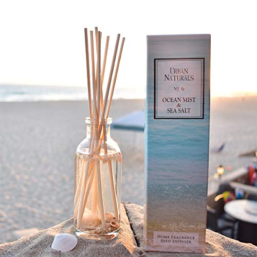 Urban Naturals Ocean Mist & Sea Salt Reed Diffuser Set | Made with Essential Oils & Real Seashells | Decorative Air Freshe...