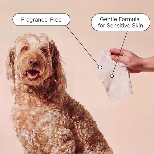 Goldie Dog Essentials Probiotic & Colloidal Oatmeal Dog Wipes for Paws, Skin Folds, Body & Bottom, Hypoallergenic, Fragran...
