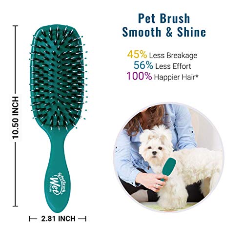 Wet Brush Pet Hair Brush, Smooth, Shiny Fur, Dog and Cat Hairbrush, De-Shedding Comb & Dematting Tool for Grooming Long or...