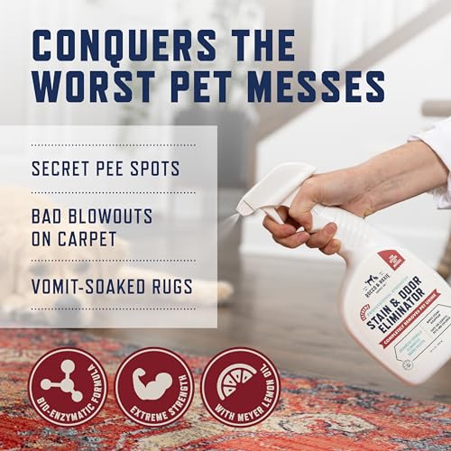 Rocco & Roxie Extreme Stain & Odor Eliminator for Strong Odor, Pet Urine Enzyme Cleaner Destroyer, Stain Remover, Dog Poop...