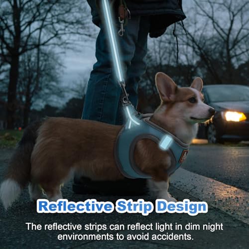 Dog Harness Medium Sized Dogs, Puppy Harness and Leash Set for Training, Running, Walking, Suitable for Small and Medium D...