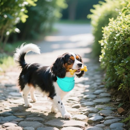 hoyuwak 2 Pack Instant Cooling Dog Bandana Scarf & Vest – Reusable, Adjustable Pet Cooling Bandana for Dogs, Summer Essent...