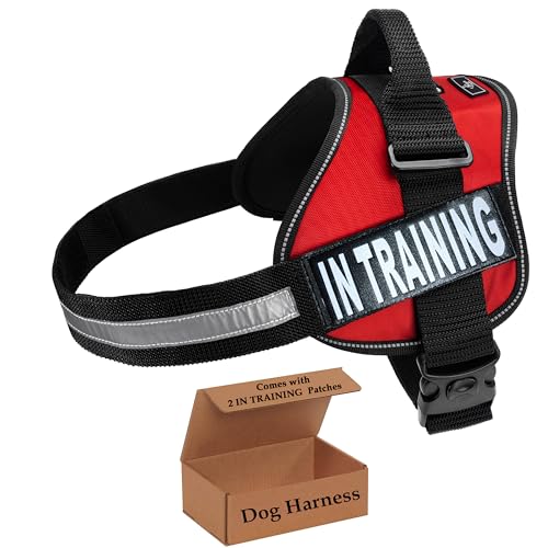 Service Dog in Training Vest - Adjustable No Pull Dog Harness with Patches. in Training Dog Vest for Service Dogs Small, M...