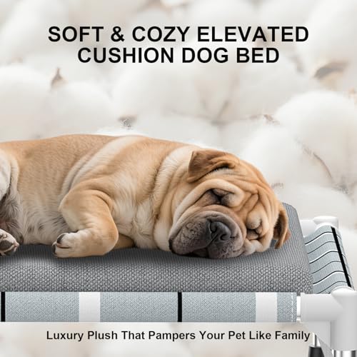 Elevated Raised Outdoor Dog Bed - Cooling Lifted Outside Dogs Bed with Cushion Mat Dog Hammock Bed with Stainless Steel Fr...