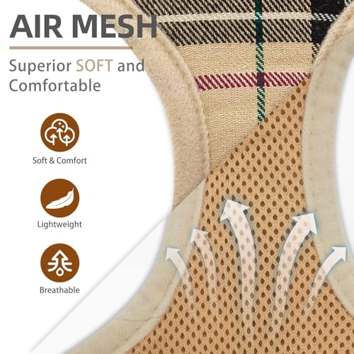 PUPTECK Soft Mesh Dog Harness Small Sized and Leash Set Pet Puppy Cat Comfort Padded Vest No Pull Harnesses, Beige, S