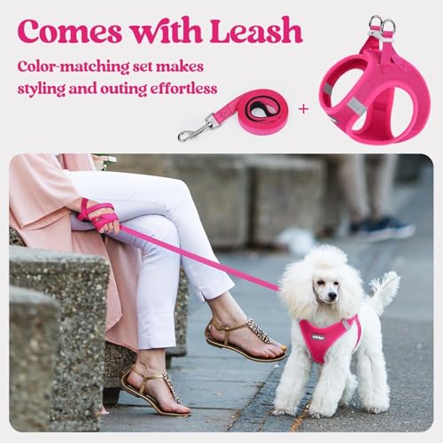rabbitgoo Dog Harness Small Sized and Leash Set, Step in Soft Light Puppy Vest, Breathable Mesh Pet Harness, Reflective fo...