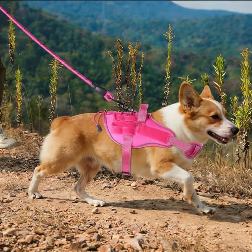 Service Dog Vest, No Pull Dog Harness Small Medium Sized Dog, Service Dog Harnesses and Leash Set, Reflective Easy Walk Do...
