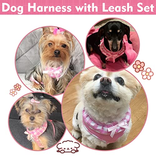 EXPAWLORER Cute Dog Harness and Leash Set - Pink Girl Dog Harness Checkered Step-in Design, Easy Adjustable No-Choke Light...