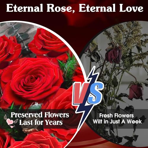 ADDWel 12 Preserved Red Roses Bouquet - Real Roses That Last Years, Romantic Anniversary & Birthday Gifts for Wife, Girlfr...