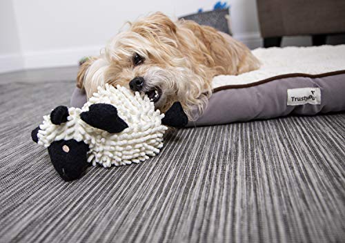 goDog Fuzzy Wuzzy Lamb Squeaky Plush Dog Toy, Chew Guard Technology - Assorted, Small