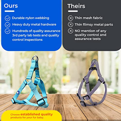 Blueberry Pet Essentials Step-in Dog Harness, Small Size | Adjustable Flint Gray Vest | Classic Solid Nylon for Boy & Girl...