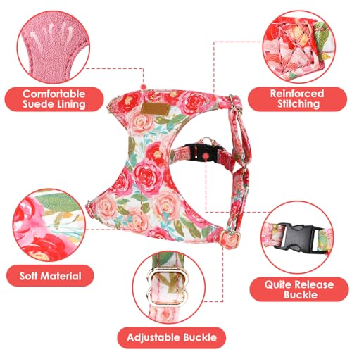 SlowTon Dog Harness Small Sized Dog - Soft XXS Dog Harness and Leash Set No Pull No Chock, Adjustable Lightweight Puppy Ha...