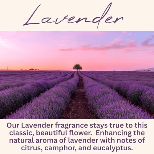 Wickless Lavender Scented Candles for Candle Warmer Lamp, Many Scents to Choose, 100% Non-Toxic Soy Wax, Candle Melts for ...