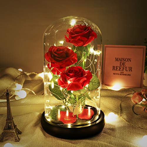 Beauty and The Beast Rose, Classic Red Rose with LED Lights and Falling Petals, Gifts for Women, Birthday Gifts for Women,...