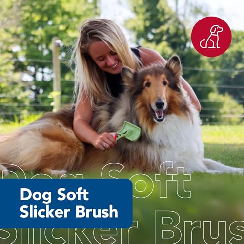 Coastal Pet Safari Dog Soft Slicker Brush - Dog Grooming Brush for Shedding - for Dogs with Short, Medium and Long Hair - ...