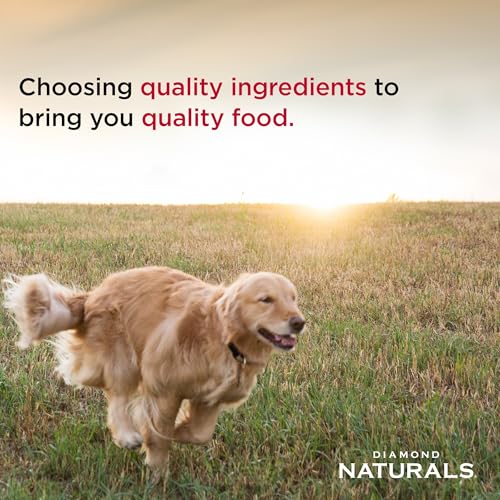 Diamond Naturals Skin & Coat Real Salmon and Potato Recipe Dry Dog Food with Protein, Superfoods, Probiotics and Essential...