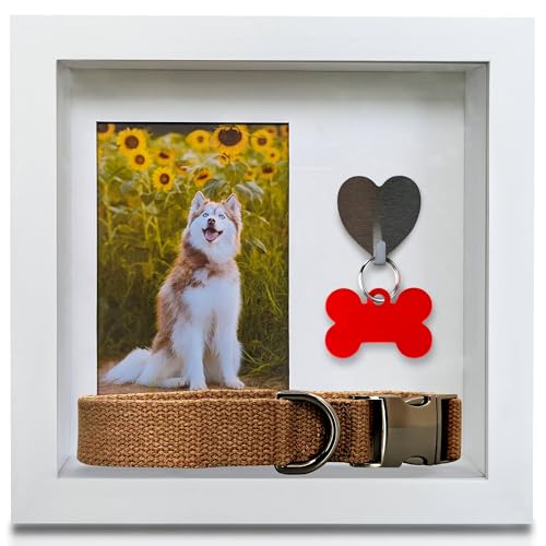 Green Pollywog Pet Memorial Shadowbox with Photo, Tag & Collar Display | White Frame with 4” x 6” Picture Opening | 10” x ...