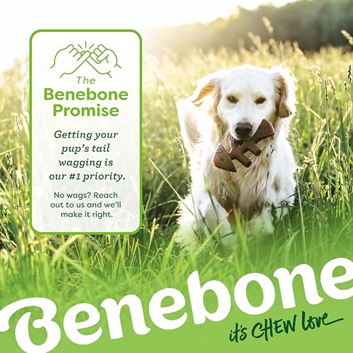 Benebone Medium 4-Pack Dog Toys for Aggressive Chewers – Durable Dog Bones, Made in USA – Dog Toys for Medium Dogs Under 6...