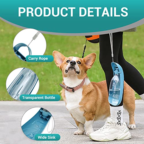 Billionchains Dog Water Bottle, 550ML Large Capacity Leak-Proof Portable Pet Water Dispenser with Carrying Lanyard, Ideal ...
