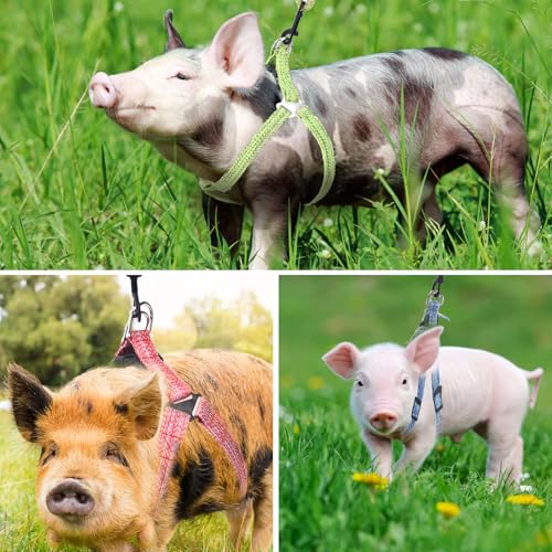 Mini Pig Harness, Adjustable Small Pig Harness with Leash Infinity Style Lead and Soft Foam Handle for Small to Medium Pet...