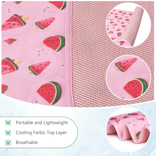 DELIFUR Cat Cooling Mat- Pet Cooling Mat Outdoor for Dogs Ice Pad for Kitten Cat Puppy Machine Washable (Small, Pink Water...