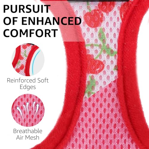 SCENEREAL Cat Harness & Leash Set Escape Proof - Adjustable Air Mesh Vest with Reflective Strips for Kittens, Puppies, Rab...