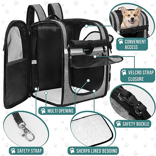 PetAmi Dog Backpack Carrier for Small Large Cat, Pet, Puppies, Ventilated Pet Hiking Backpack Travel Bag, Airline Approved...