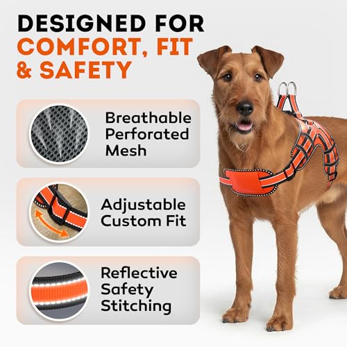 Dog Harness for Small Dogs Back D-Ring Control No Choking Pressure-Free Chest Design Comfortable Padded Adjustable Reflect...