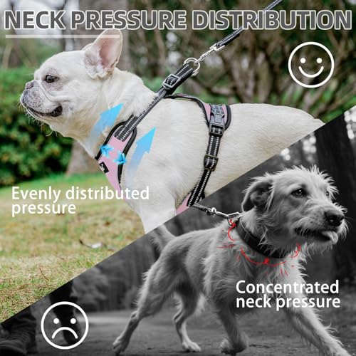 PUPTECK Dog Harness and Leash Set Medium Sized, Adjustable Reflective Escape Proof Puppy Vest, No Pull Walking Harness Eas...