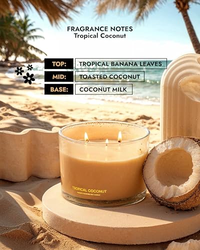 96NORTH Luxury Coconut Soy Candle | Large 3 Wick Jar Candle | Up to 50 Hours Burning Time | Tropical Beach Scented Candles...