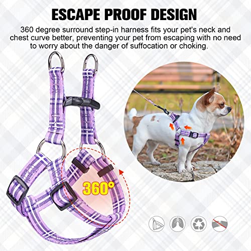 BEAUTYZOO No Pull Dog Harness and Leash Set - Adjustable Step-in Puppy Harness for Small Medium Large Dogs, Escape Proof S...