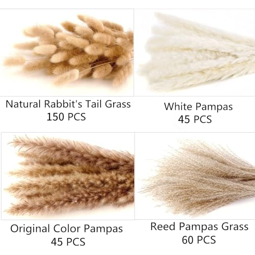 300 PCS Dried Flower Bouquet – Pampas Grass, Floral Decor for Home, Wedding, and Boho Style | Perfect for Vases, Fall, Spr...