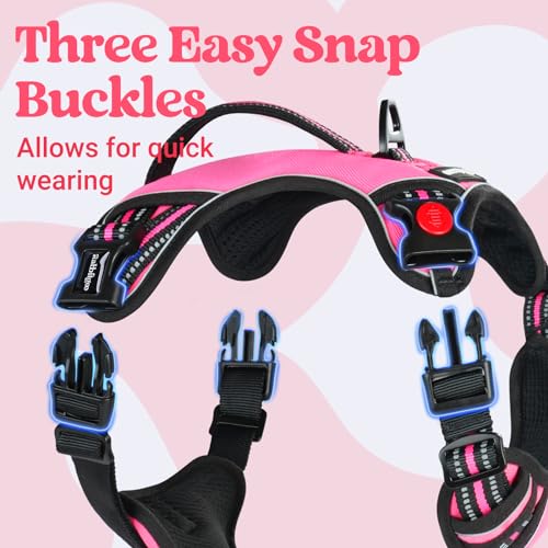 rabbitgoo Dog Harness Small Sized Dog, No Pull Pet Harness with Soft Padded Handle, Adjustable Reflective Vest with 3 Buck...