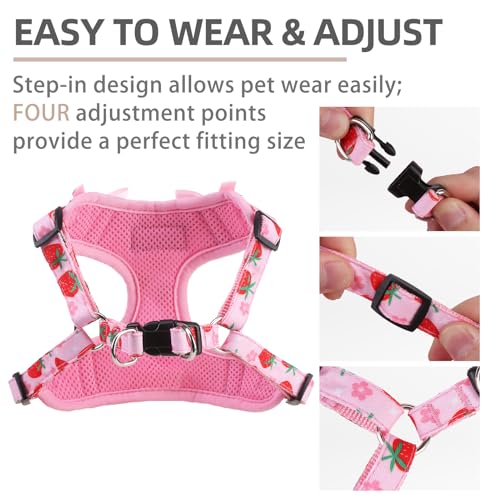 PUPTECK Dog Harness and Leash Set Small Sized, Step in No Pull Adjustable Puppy Cat Harness Reflective Pet Vest