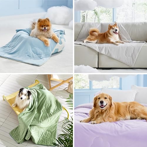 LE SURE Premium Cooling Blanket for Large Dogs Washable - Dog Cooling Mat with Q-MAX>0.4 Soft, Breathable Pet Throw Blanke...