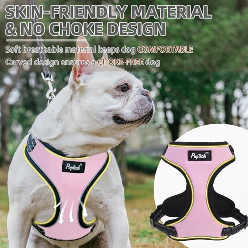 PUPTECK Dog Harness and Leash Set Medium Sized, Adjustable Reflective Escape Proof Puppy Vest, No Pull Walking Harness Eas...