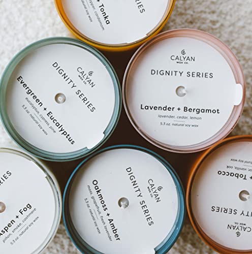 Calyan Wax Co. Dignity Series Scented Candle Gift Set - 6 Scented Candles - 35 Hour Burn - Luxury Non Toxic Soy Wax Candle...