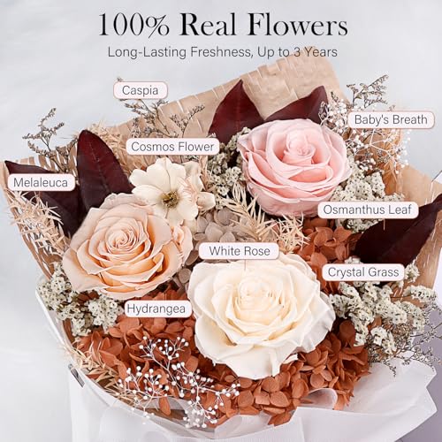 Preserved Bouquet of Flowers - Forever Flowers for Delivery, Real Eternal Roses, Mothers Day Gifts for Mom Grandma Wife, A...