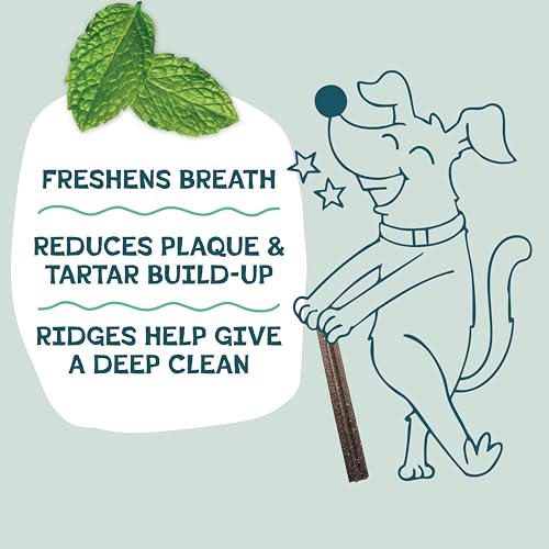 Shameless Pets Blueberry & Mint Dental Chews for Dogs, 8 Chews - Natural Dog Teeth Cleaning Treats with Fresh Breath Benef...