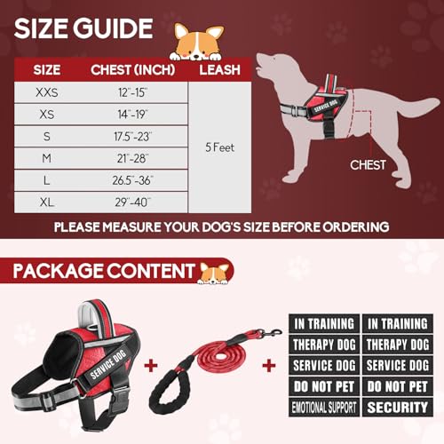 Service Dog Vest Harness and Leash Set, Animire in Training Dog Harness with 10 Dog Patches, Reflective Dog Leash with Sof...