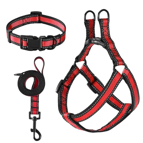 Mile High Life Night Reflective Double Adjustable Band Nylon Small Puppy Pet Dog Combo Collar Leash and Harness Set (Refle...