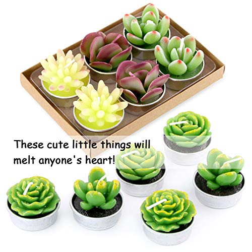 Swpeet 12Pcs Decorative Succulent Cactus Tealight Candles Kit, Cute Smokeless Succulent Plants Perfect for Candles Festiva...