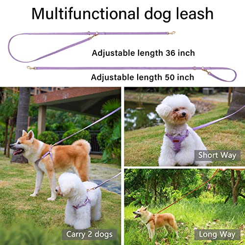 CHEDE No Pull Puppy Harness and Multifunction Dog Leash Set- 8 Colors Soft Adjustable No Choke Escape Proof Cute,Lightweig...